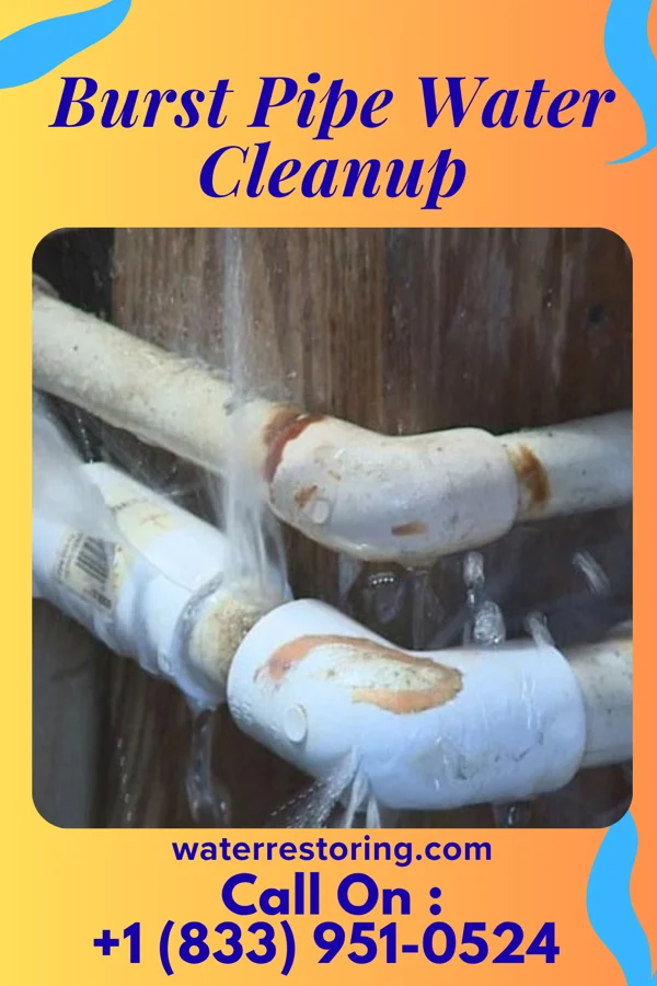 Burst Pipe Water Cleanup in Walnut Springs, TX
