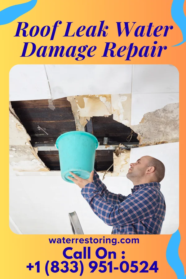 Roof Leak Water Damage Repair in Walnut Springs, TX