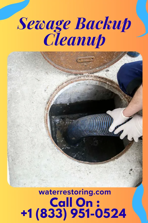 Sewage Backup Cleanup in Walnut Springs, TX